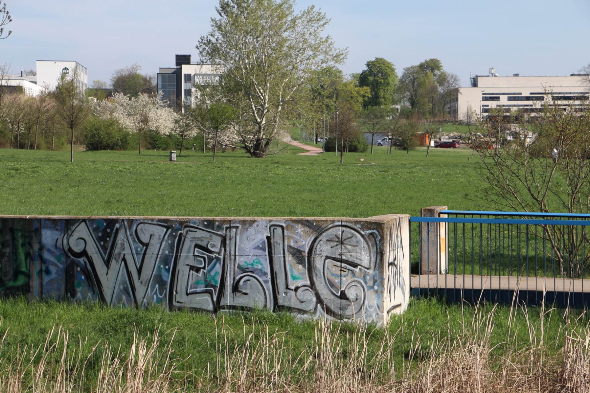 WELLE, (Panik??), Weinbergwiesen_IMG_5236v